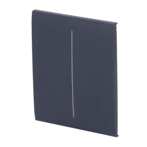 AJAX - Panel táctil para interruptor de luz doble - Compatible con AJ-LIGHTCORE-2G - (AJ-CENTERBUTTON-2G-GRA)