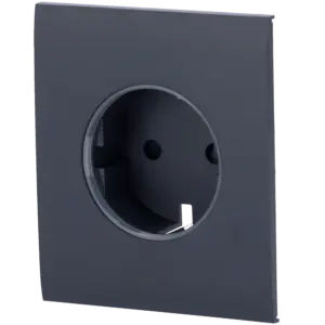 AJAX - Tapa central para enchufe inteligente tipo F - Compatible con AJ-OUTLETCORE-SMART - (AJ-CENTERCOVER-SMART-GRA)