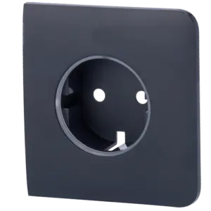 AJAX - Tapa lateral para enchufe básico tipo F - Compatible con AJ-OUTLETCORE-BASIC - Protección (AJ-SIDECOVER-GRA)