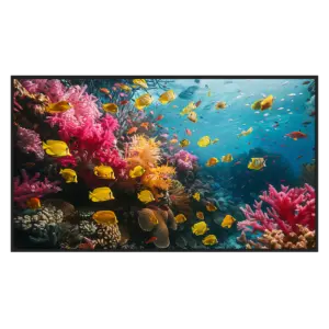 HIKVISION - Monitor digital signage 50" 4K - Cartelería digital local USB - Cartelería digital (DS-D6050UH-DP)