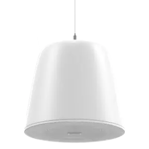 HIKVISION - Altavoz Analógico - Colgante - Potencia (8 Ω): 30 W - Potencia (70/100 V): 30, 15, 7,5, (DS-QAZ0530G1)