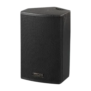DSPPA - Caja acústica activa profesional DSPPA   - Amplificador Clase D integrado  - 180W AES | (DSPPA-D6533A)