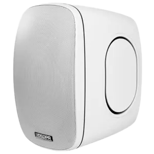 DSPPA - Altavoz de techo  - Altavoz de rango completo 1x6.5" + 1x1" - Potencia 70V / 100V (DSPPA-DSP6050W)