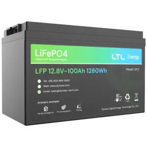 DYNESS - Batería estacionaria - Capacidad 1280Wh - LiFePO4 12V / 100Ah - 3000 ciclos de vida - Hasta (DY-AR-1200)